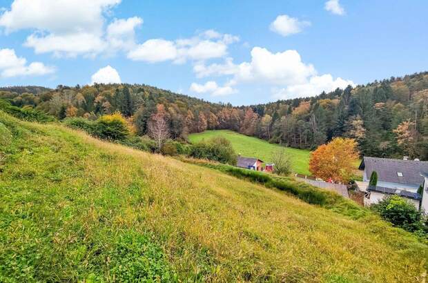 Grundstück kaufen in 8075 Hart (Bild 3)