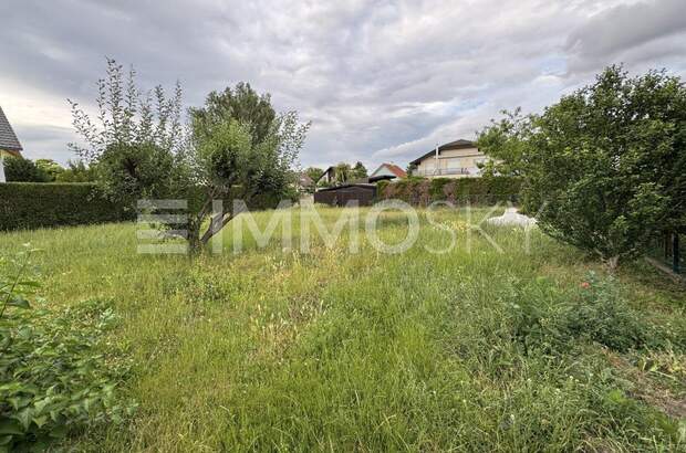 Grundstück kaufen in 2201 Gerasdorf (Bild 4)