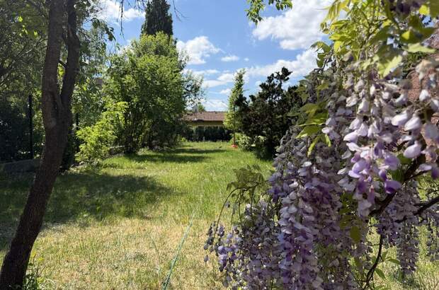 Haus mit Garten kaufen in 1230 Wien (Bild 2)