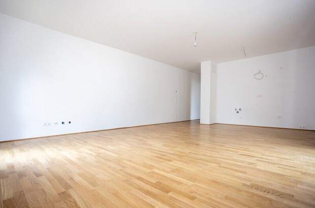 Terrassenwohnung kaufen in 2700 Wr. Neustadt (Bild 3)