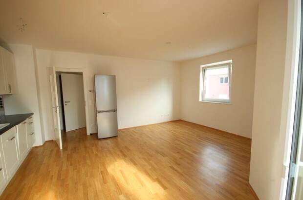 Terrassenwohnung mieten in 9020 Klagenfurt (Bild 2)