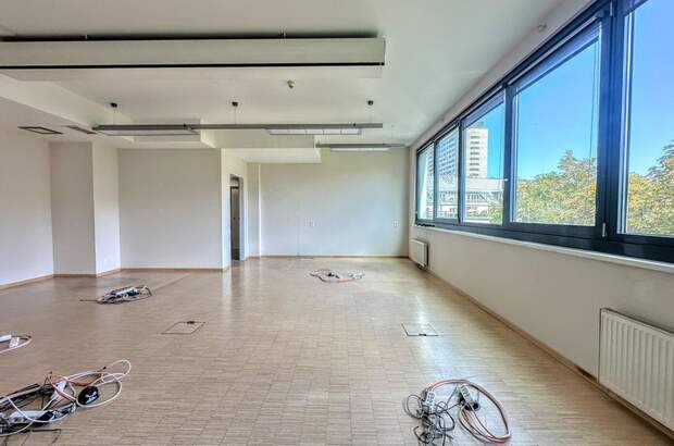 Gewerbeobjekt mieten in 1090 Wien (Bild 4)