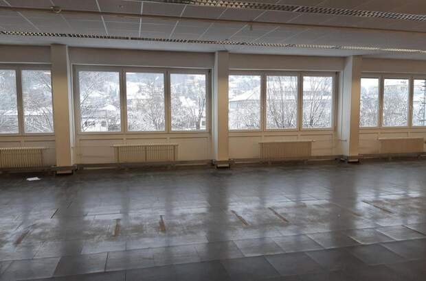 Gewerbeobjekt mieten in 3340 Waidhofen (Bild 4)