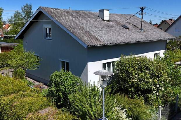 Haus kaufen in 4614 Marchtrenk (Bild 3)
