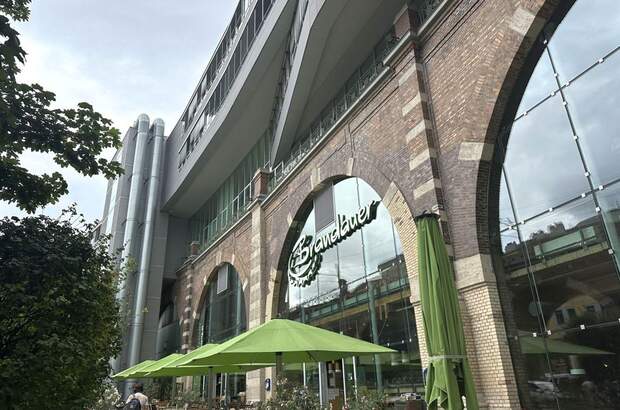 Gewerbeobjekt mieten in 1190 Wien (Bild 3)