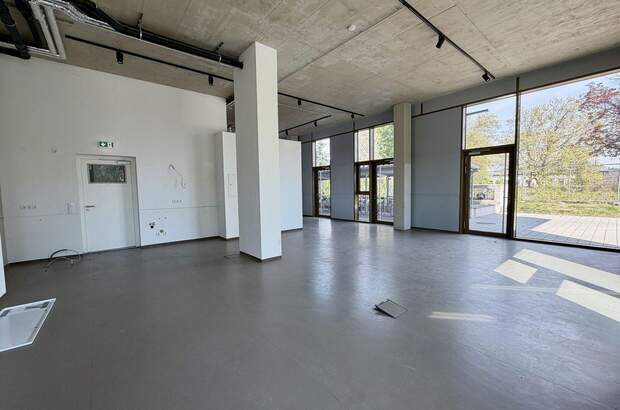 Gewerbeobjekt mieten in 8020 Graz (Bild 1)