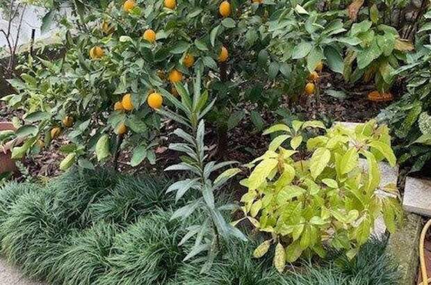 Haus kaufen in 51265 Kacjak (Bild 3)