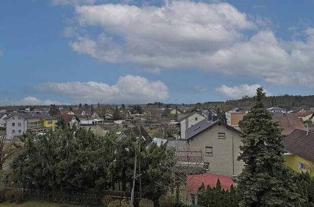 Altbauwohnung mit Balkon kaufen in 4061 Leonding (Bild 2)