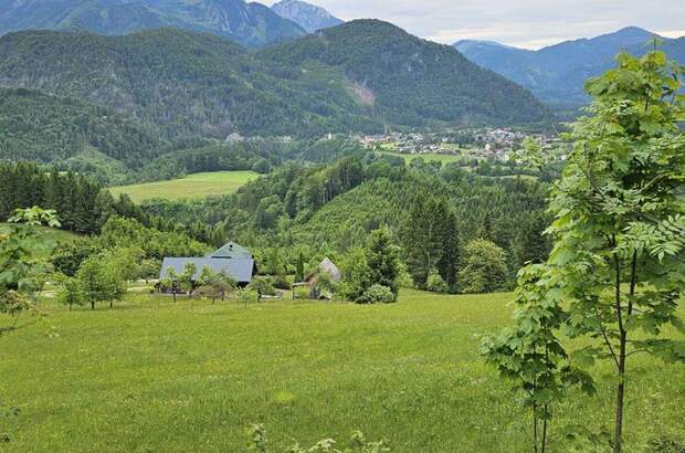 Gewerbeobjekt kaufen in 8933 Sankt Gallen