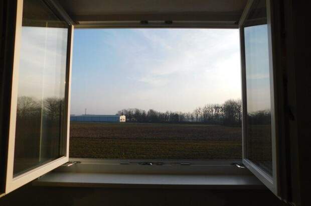 Reihenhaus kaufen in 4351 Saxen (Bild 4)