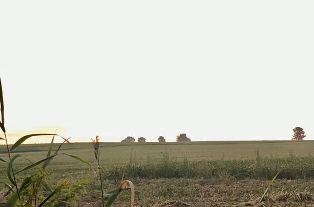 Grundstück kaufen in 7411 Markt Allhau (Bild 1)