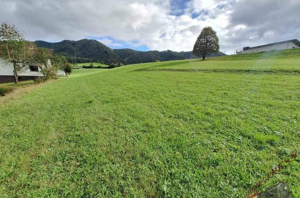 Grundstück kaufen in 8662 Mitterdorf (Bild 2)