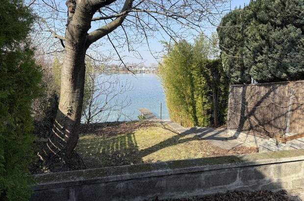 Haus kaufen in 2491 Neufeld (Bild 4)