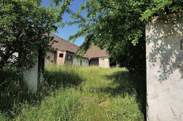 Haus mit Garten kaufen in 3823 Wetzles (Bild 1)
