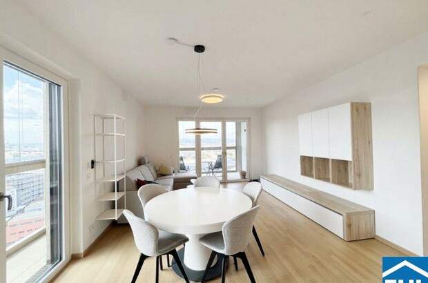 Terrassenwohnung mieten in 1030 Wien (Bild 1)