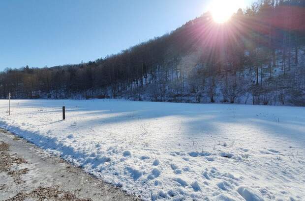 Grundstück kaufen in 4645 Grünau (Bild 1)