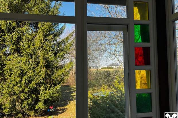 Haus kaufen in 2632 Grafenbach (Bild 5)