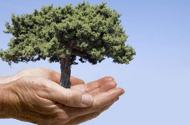 Grundstück kaufen in 6020 Hötting (Bild 1)