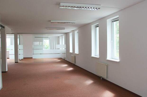 Gewerbeobjekt mieten in 2372 Gießhübl (Bild 5)