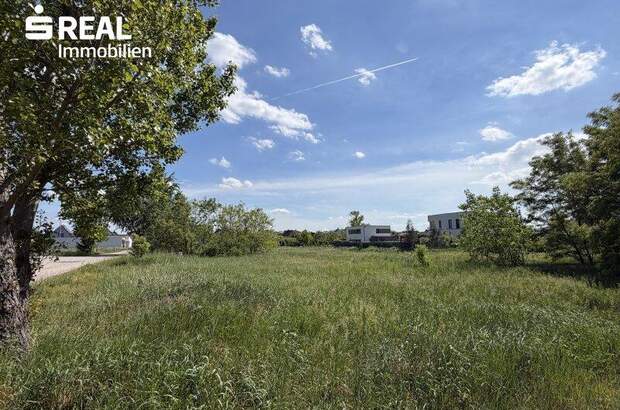 Grundstück kaufen in 7100 Neusiedl (Bild 2)
