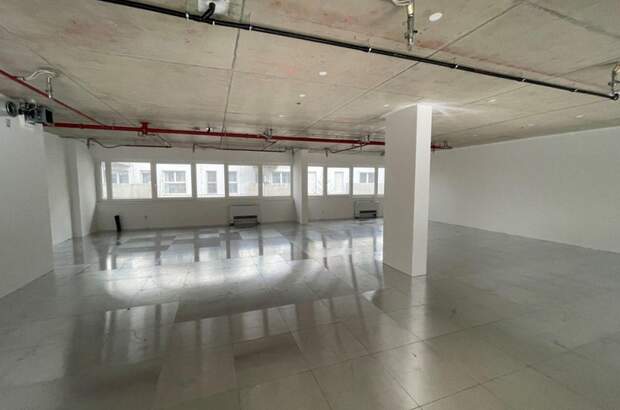 Gewerbeobjekt mieten in 1220 Wien (Bild 4)