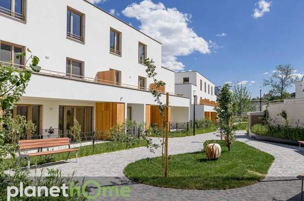 Terrassenwohnung kaufen in 3500 Krems (Bild 1)