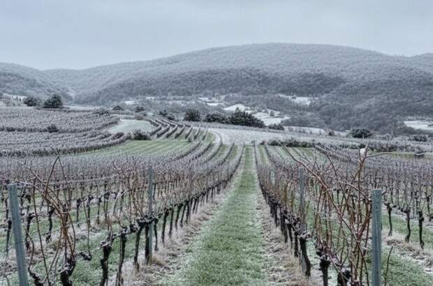 Grundstück kaufen in 2514 Traiskirchen (Bild 2)