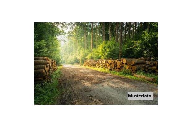 Grundstück kaufen in 6363 Westendorf (Bild 1)