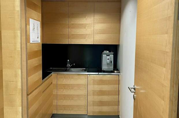 Gewerbeobjekt mieten in 4175 Neußerling (Bild 5)