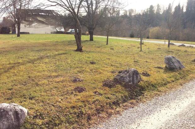 Grundstück kaufen in 5110 Oberndorf (Bild 3)