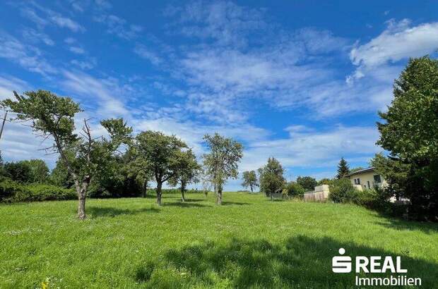 Grundstück kaufen in 4611 Buchkirchen (Bild 2)