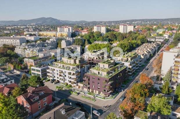 Terrassenwohnung kaufen in 1230 Wien (Bild 1)