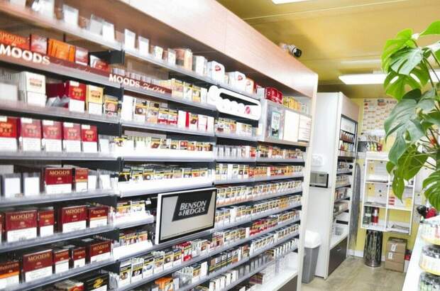 Gewerbeobjekt kaufen in 2560 Berndorf (Bild 2)