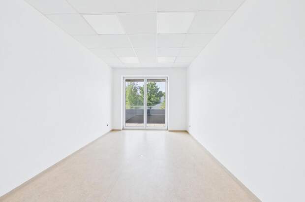 Büro / Praxis mieten in 4221 Steyregg (Bild 4)
