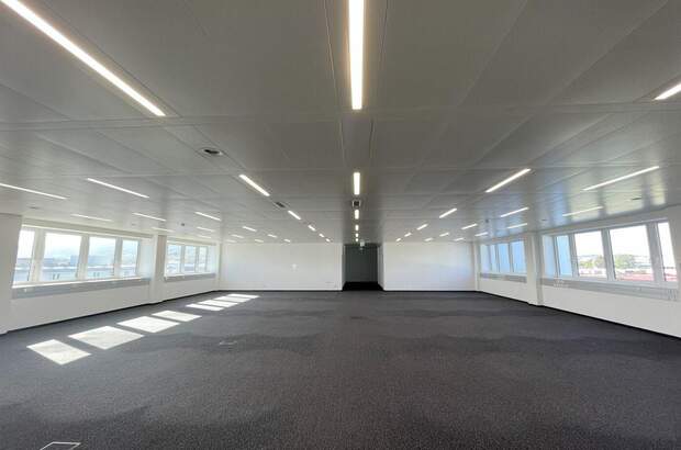 Gewerbeobjekt mieten in 2351 Wiener Neudorf (Bild 3)