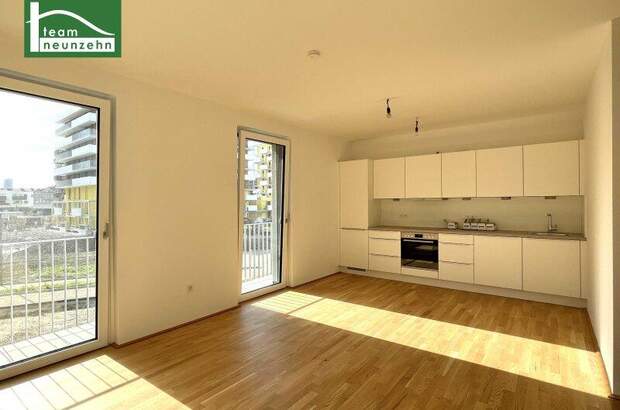 Terrassenwohnung mieten in 1220 Wien (Bild 2)