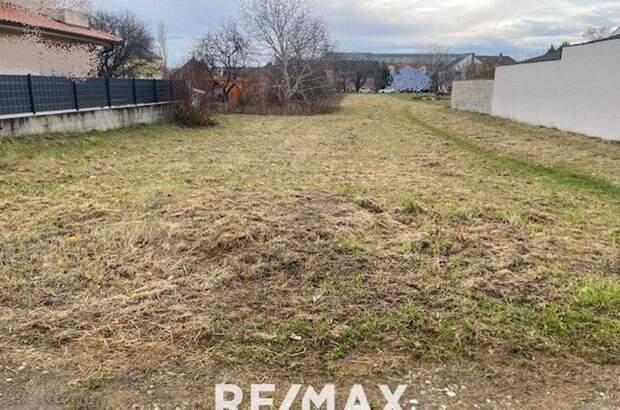 Grundstück kaufen in 7100 Neusiedl (Bild 2)