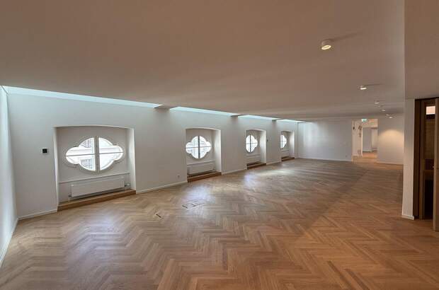 Gewerbeobjekt mieten in 1010 Wien (Bild 5)