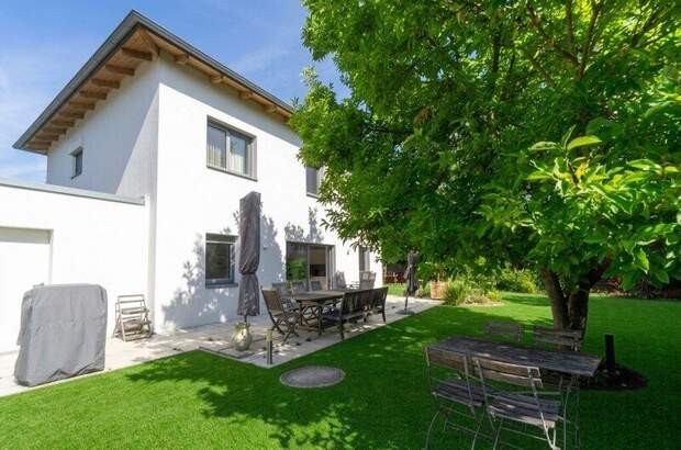 Haus kaufen in 3426 Muckendorf (Bild 4)