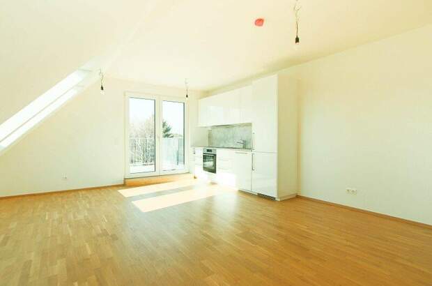 Terrassenwohnung kaufen in 1220 Wien (Bild 4)