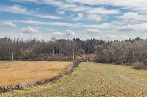 Grundstück kaufen in 7502 Unterwart (Bild 2)