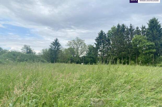 Grundstück kaufen in 7564 Dobersdorf (Bild 5)