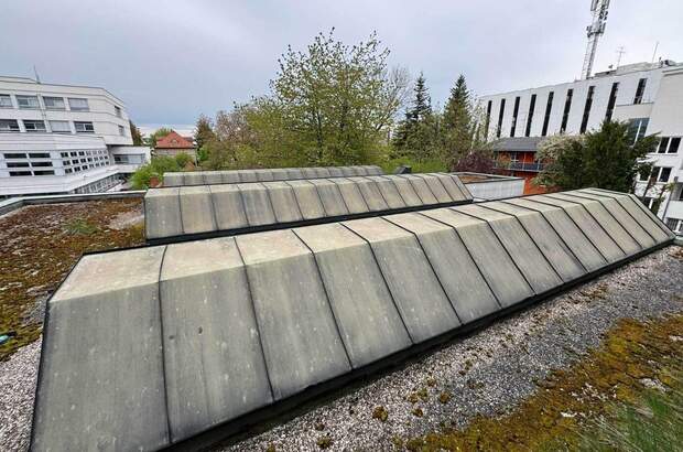 Haus kaufen in 4600 Wels (Bild 3)