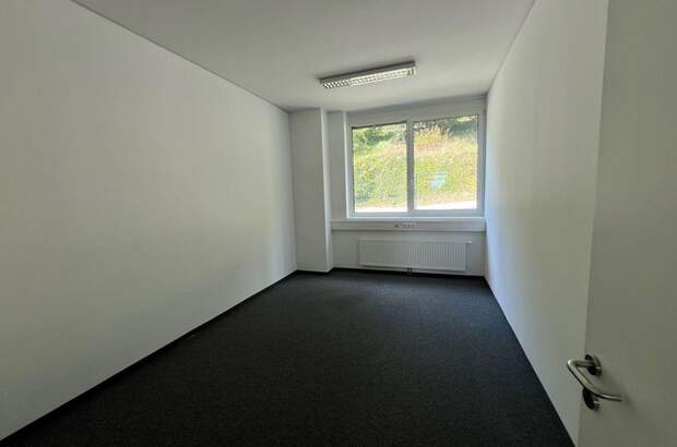 Gewerbeobjekt mieten in 8054 Graz (Bild 2)