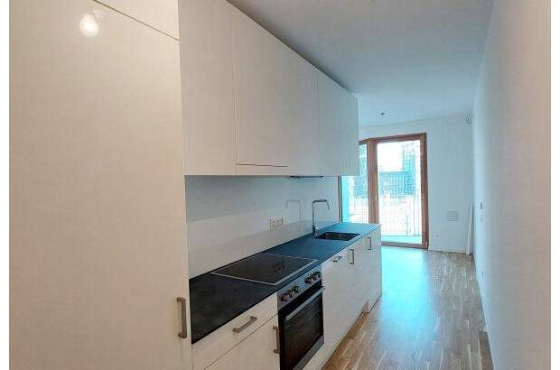 Terrassenwohnung mieten in 1100 Wien (Bild 2)