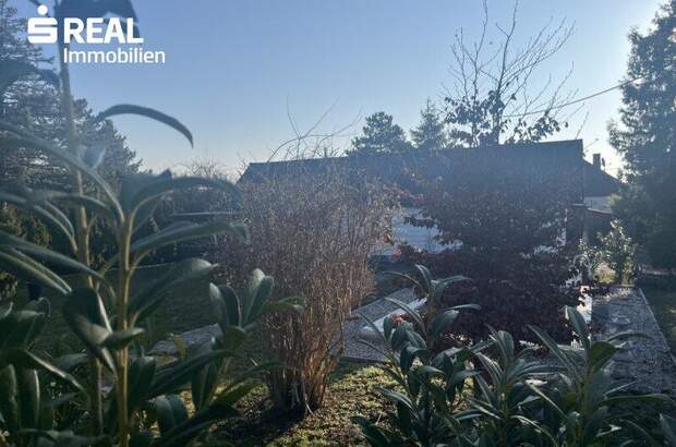 Grundstück kaufen in 1220 Wien (Bild 5)