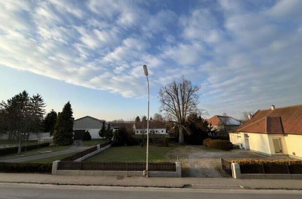 Terrassenwohnung mieten in 3140 Pottenbrunn (Bild 3)