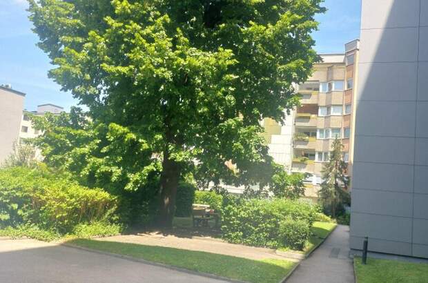 Wohnung mieten in 4600 Wels (Bild 2)