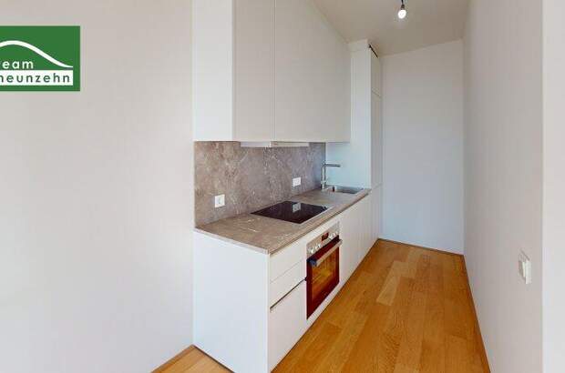 Terrassenwohnung mieten in 1220 Wien (Bild 3)