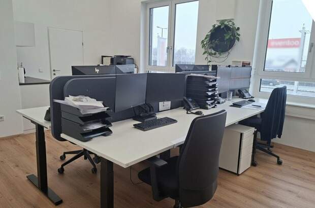 Gewerbeobjekt mieten in 4050 Traun (Bild 3)
